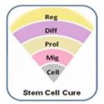 Stem Cell Cure India Profile Picture