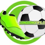 congdong fifa Profile Picture