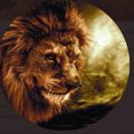 Lion Hart Profile Picture