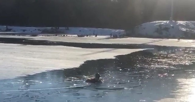 WATCH: Firefighter Rescues Dog that Fell Through River's Thin Ice