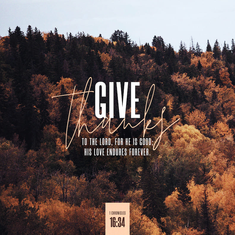 1 Chronicles 16:18-36 Saying, “To you I will give the land of Canaan, As the portion of your inheritance.” When they were only a few in number, Very few, and strangers in it, And they wandered about from nation to nation,  | New American Standard Bible - NASB 1995 (NASB1995) | Download The Bible App Now