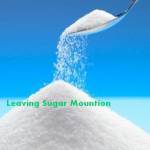 Leaving Sugar Mountain profile picture