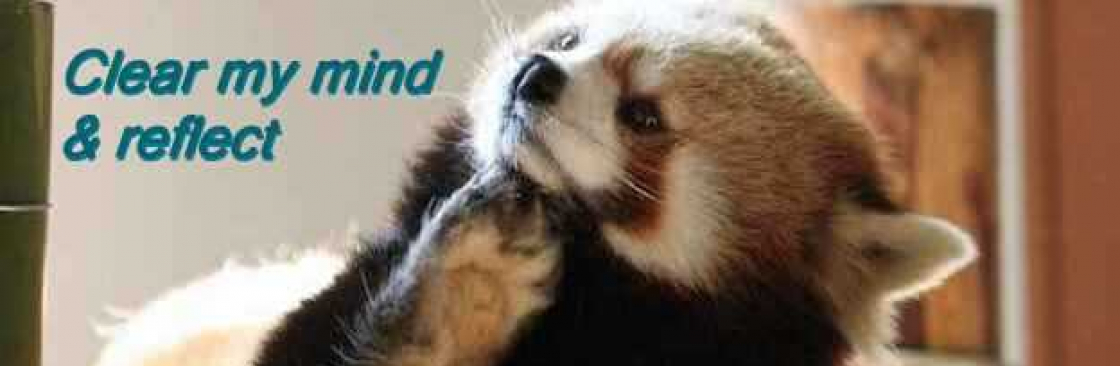 ® Red Panda ⁂ thoughtful Cover Image