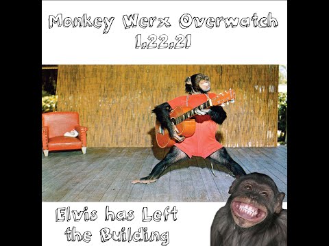 Monkey Werx Overwatch SITREP 1 22 21