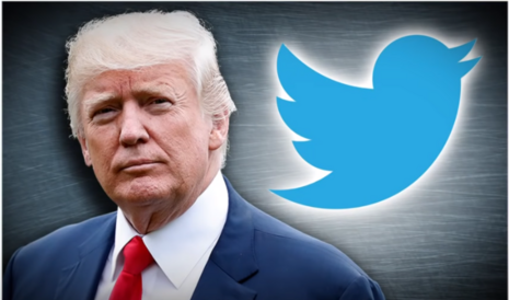 Exclusive: 120 Prominent Twitter Leftists Call for President Trump to Be Banned ⋆ 10ztalk viral news aggregator