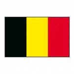 Q Anon Belgium Profile Picture