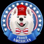 ProudAmericanYes profile picture
