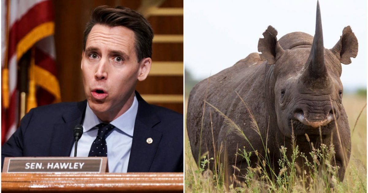 Sen. Josh Hawley Folds? Blames Trump for ‘Inflammatory, Irresponsible, Wrong’ Comments - Big League Politics