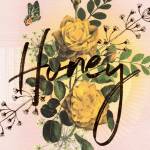 Honeybee70 Profile Picture
