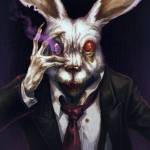 Matrix_Rabbits Profile Picture