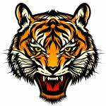 Tiger Patriot profile picture