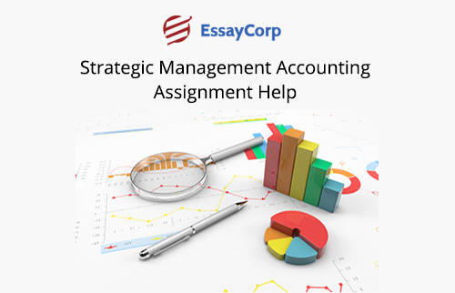 Strategic Management Accounting Assignment Help Online