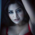 shreya sehgal Profile Picture