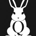 wabbit Profile Picture