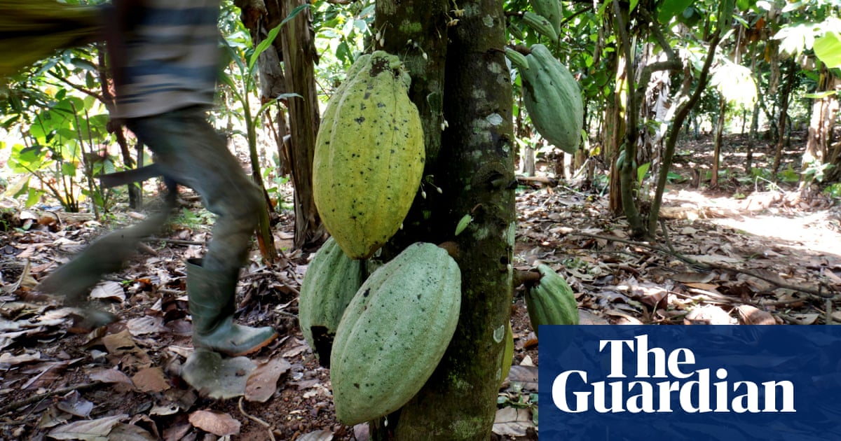Mars, Nestlé and Hershey to face child slavery lawsuit in US | Child labour | The Guardian