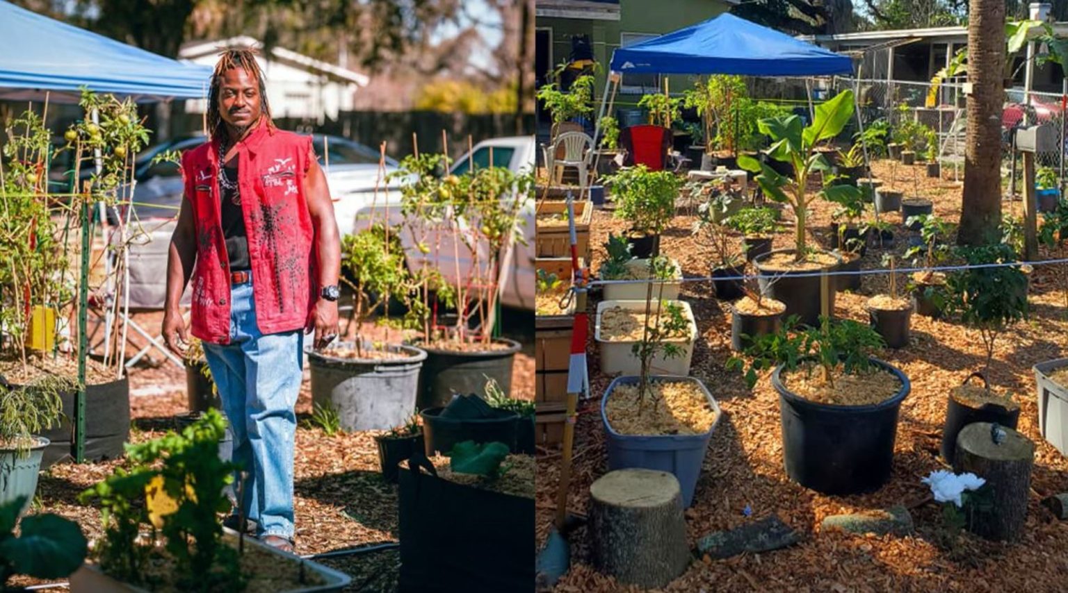 Florida Man Uses Stimulus Check To Start Thriving Home Garden To Feed His Community - Stillness in the Storm