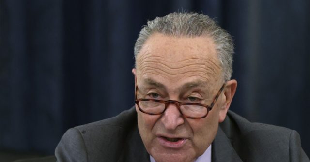 Chuck Schumer: State Voting Laws 'One of the Greatest Threats We Have to Modern Democracy in America'