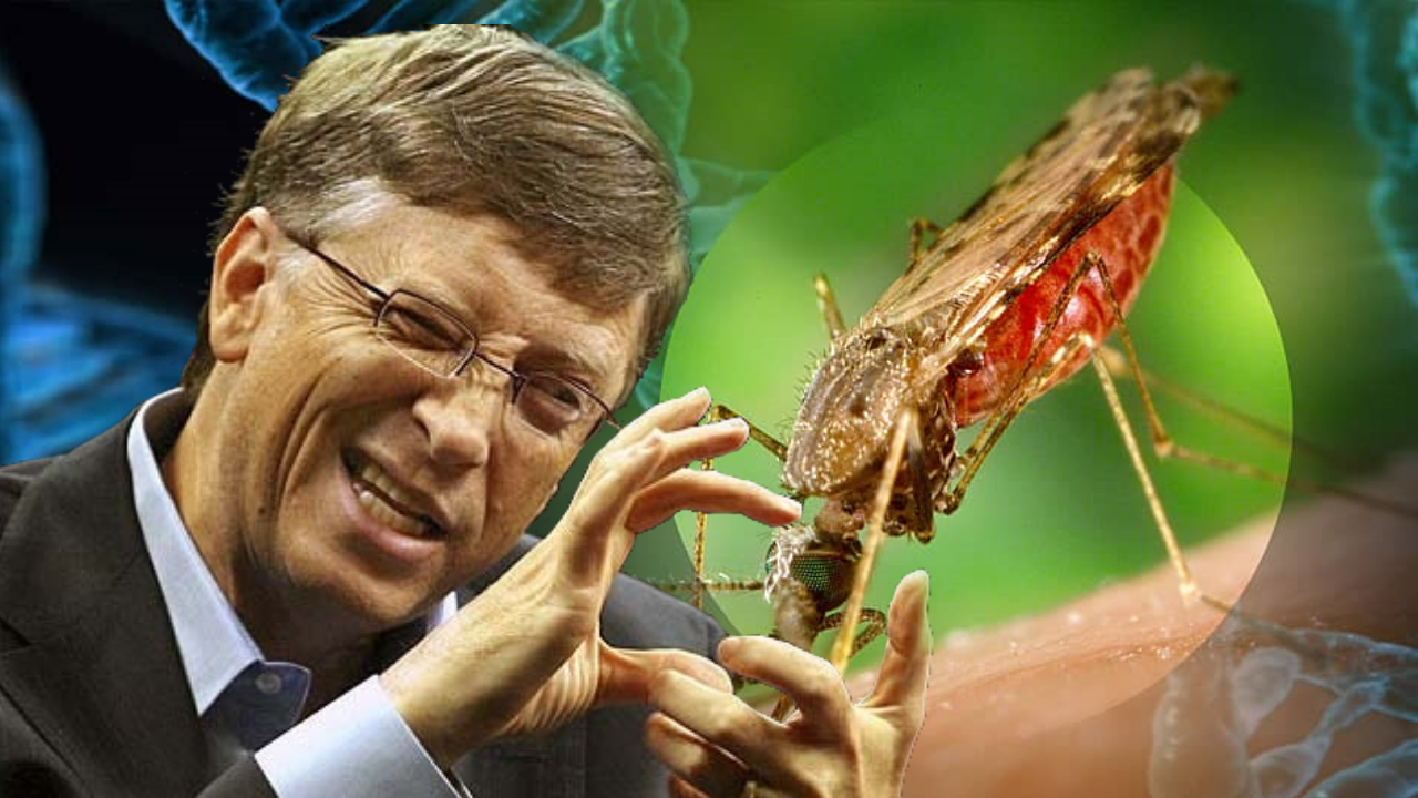 Bill Gates On Board With GMO Mosquitoes To Administer Vaccines Bypassing Informed Consent » Sons of Liberty Media