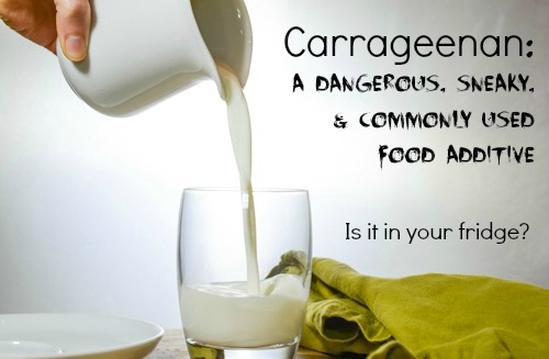 The truth about Carrageenan - Is it bad for you? - All About Globe