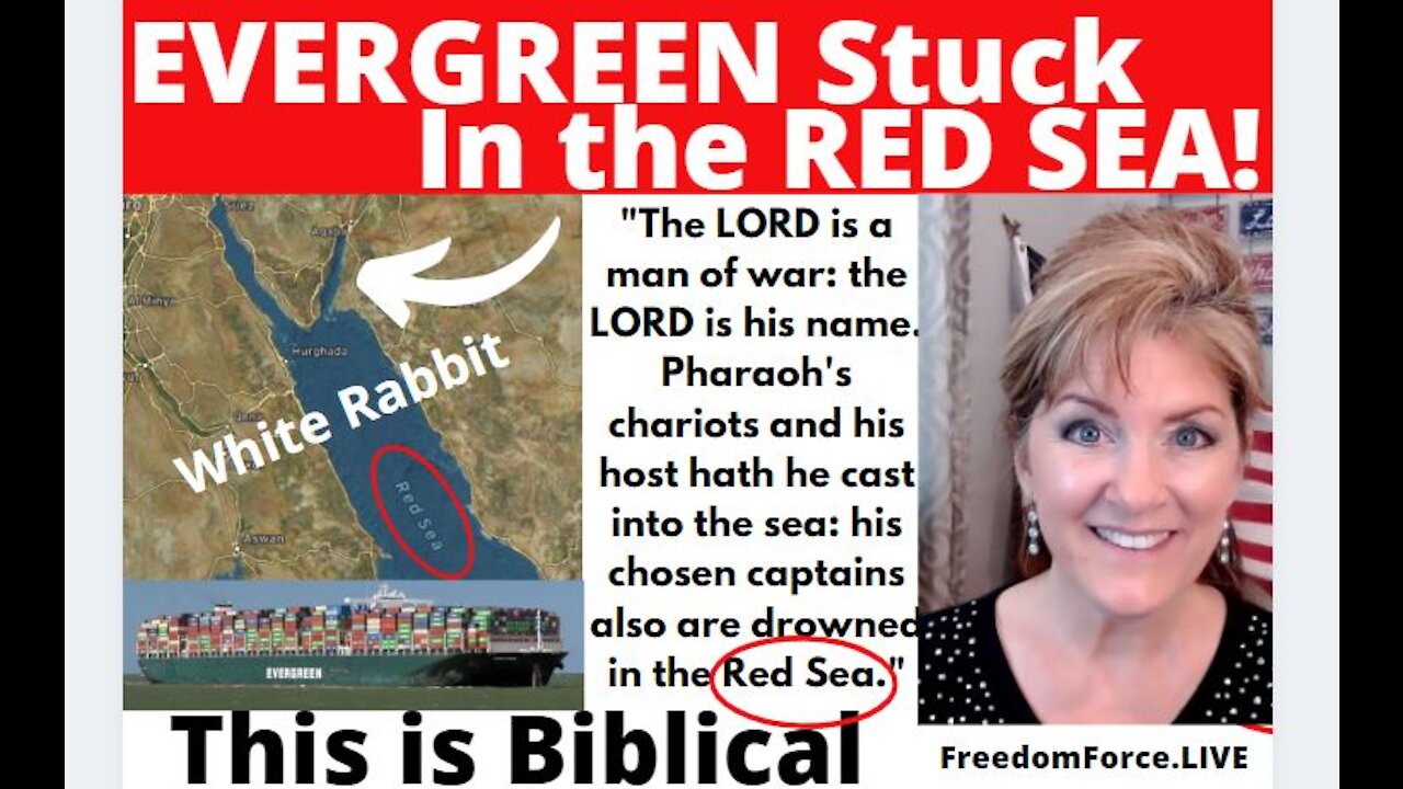 EVERGREEN IS STUCK IN THE RED SEA! FOR PASSOVER! BIBLICAL! WHITE RABBIT FOUND 3-24-21