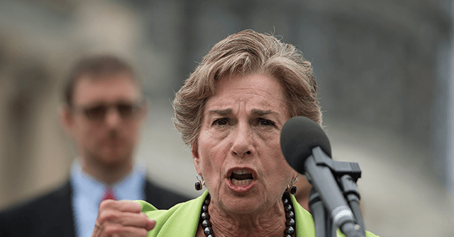 House Democrats Push Bill to Force Americans to Fund Abortions Overseas