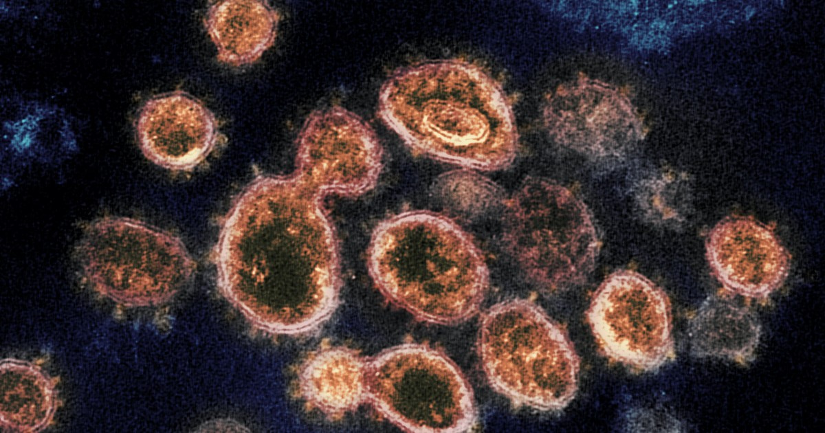 Antibody injection dramatically reduces risk of coronavirus illness, Regeneron says | Washington Examiner