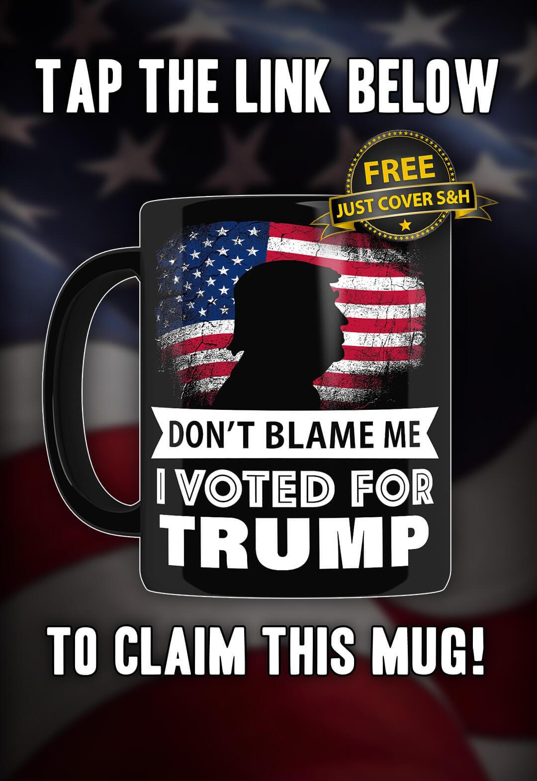 Free Don't Blame Me Mug