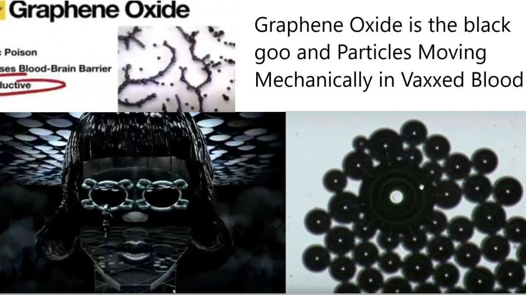 ⁣Graphene Oxide is the black goo and Mechanically Moving Particles in Vaxxed Blood
