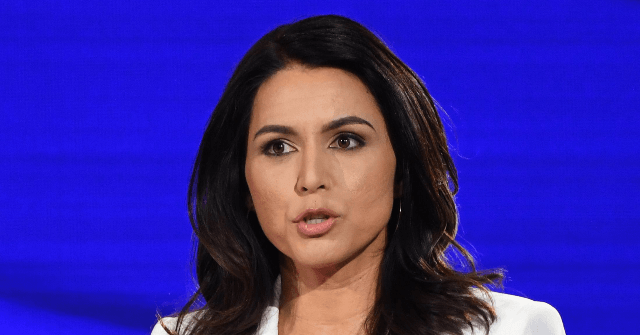 Tulsi Gabbard: 'We Don't Have Leaders Who Actually Respect the American People'