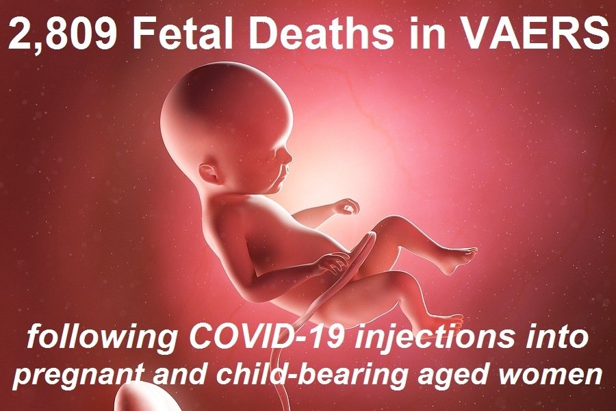 2,809 Dead Babies in VAERS Following COVID Shots as New Documents Prove Pfizer, the FDA, and the CDC Knew the Shots Were Not Safe for Pregnant Women - Global ResearchGlobal Research - Centre for Research on Globalization