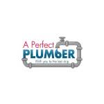 A Perfect Plumber Profile Picture
