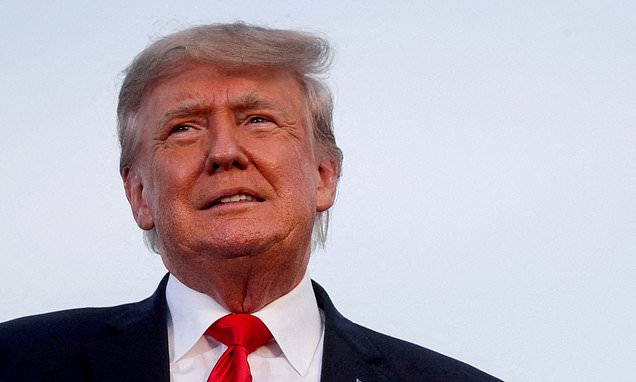 Judges approve special grand jury to investigate whether Donald Trump broke the law | Daily Mail Online