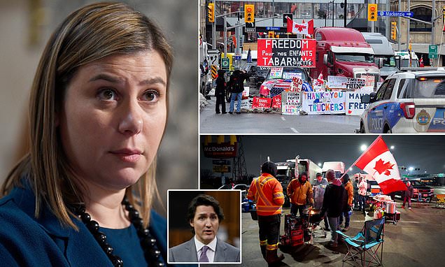 Democrat says Canada's Freedom Convoy is an 'effective' protest and US could see trucker rally soon | Daily Mail Online