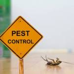 pestcontrol services Profile Picture