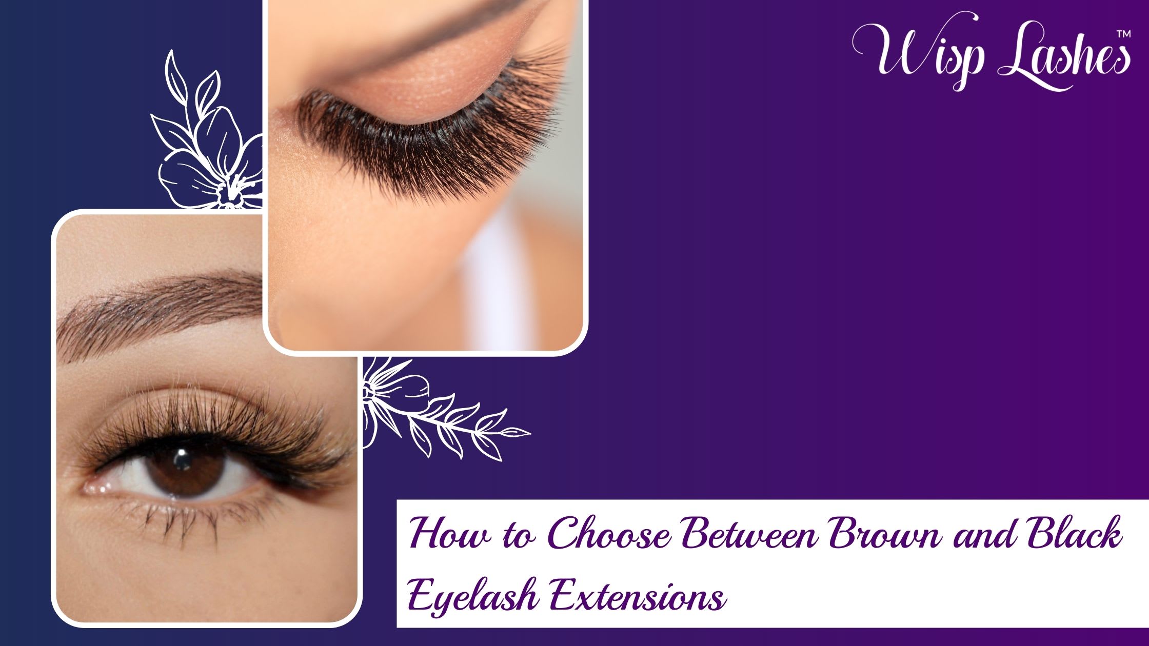 How to Choose Between Brown and Black Eyelash Extensions  | Blush