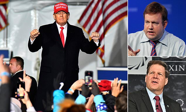 Pollster says Republicans mock 'child' Trump in private and are tired of talking about 2020 election | Daily Mail Online