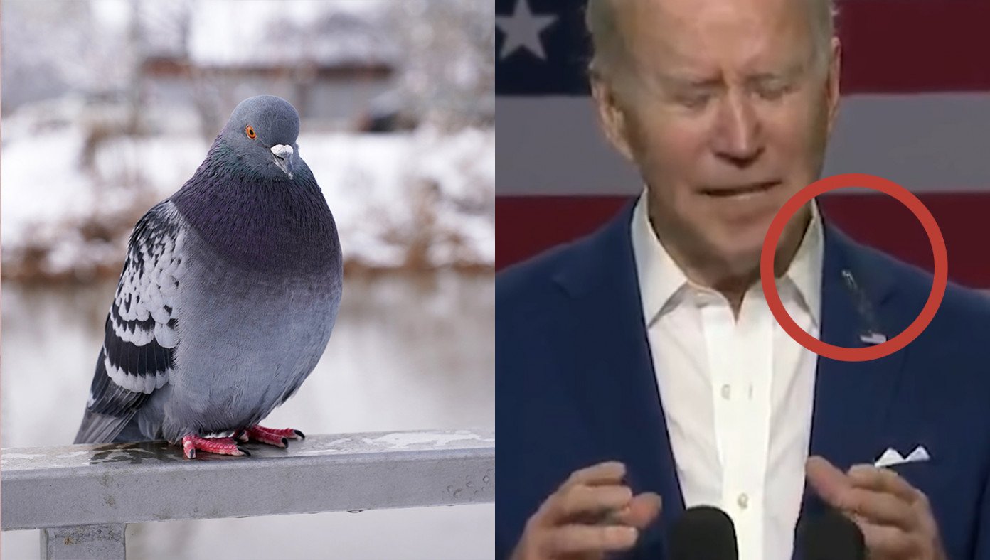 Pigeon Poops On Biden After Mistaking Him For An Old Statue | The Babylon Bee