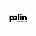 Palin Analytics profile picture