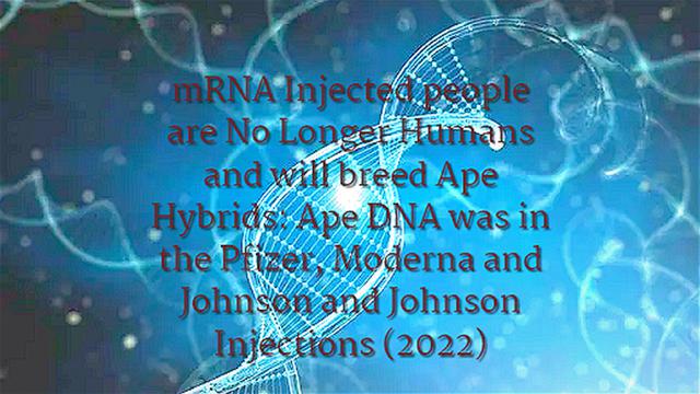 mRNA Injected people are No Longer Humans and will breed Ape Hybrids: Ape DNA was in the Pfizer...