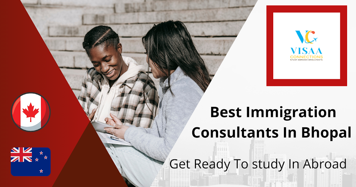 Essential Qualities to Look for in an Immigration Consultant | VISAA Connections