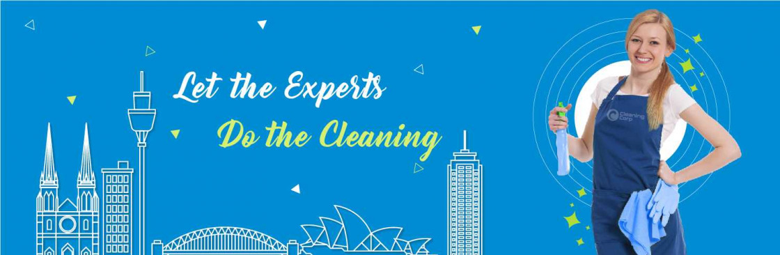 Cleaning Corp Cover Image