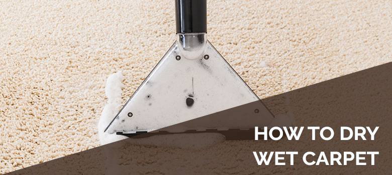 Know The Expert’s Recommendation On Drying Wet Carpet