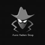 Auora Hackers Group Profile Picture