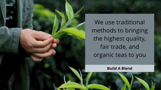Build A Blend — We are a leading private label tea manufacturers...