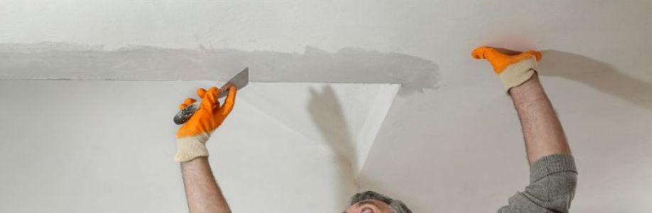 Ceilings Suppliers Cover Image