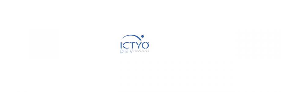 ICTYODEV Cover Image