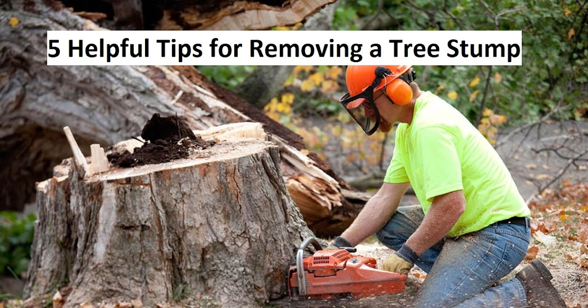 5 Helpful Tips for Removing a Tree Stump