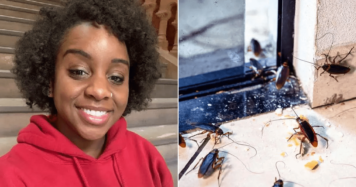 DISGUSTING! BLM Co-Founder Arrested, Look What For This Time! - Final Telegraph