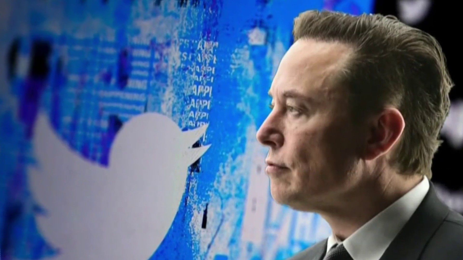 '90% Bots': Elon Musk Reveals Twitter Is a Military Grade Psy-Op To Brainwash the Masses - News Punch