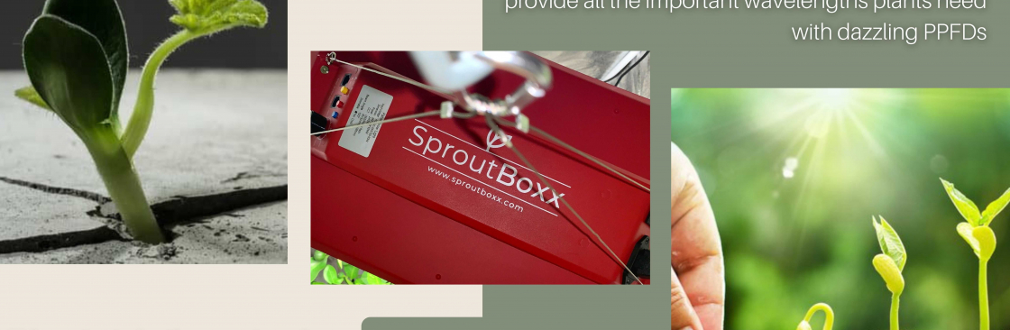 Sprout Boxx Cover Image